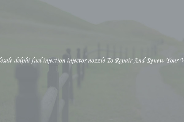 Wholesale delphi fuel injection injector nozzle To Repair And Renew Your Vehicle