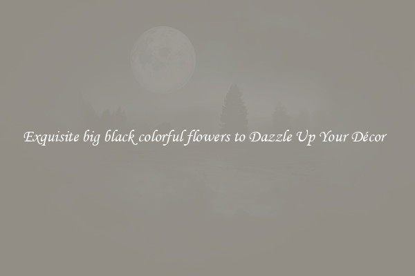 Exquisite big black colorful flowers to Dazzle Up Your Décor  