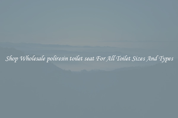 Shop Wholesale poliresin toilet seat For All Toilet Sizes And Types