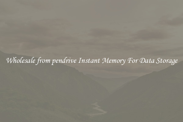Wholesale from pendrive Instant Memory For Data Storage