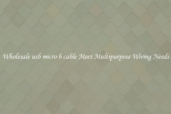 Wholesale usb micro b cable Meet Multipurpose Wiring Needs