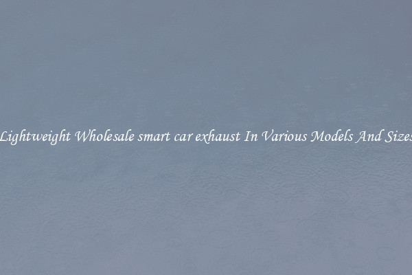 Lightweight Wholesale smart car exhaust In Various Models And Sizes