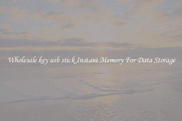 Wholesale key usb stick Instant Memory For Data Storage