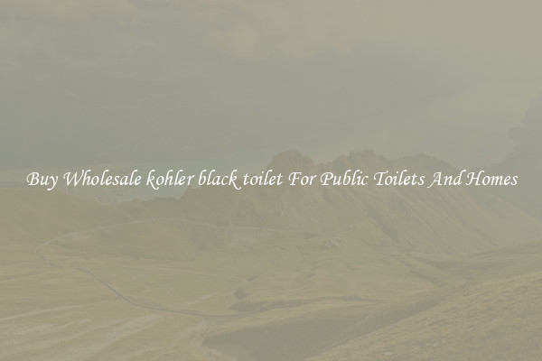 Buy Wholesale kohler black toilet For Public Toilets And Homes