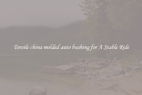 Tensile china molded auto bushing for A Stable Ride