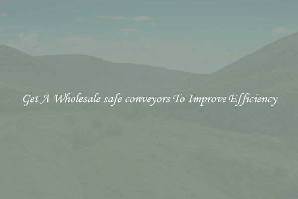 Get A Wholesale safe conveyors To Improve Efficiency