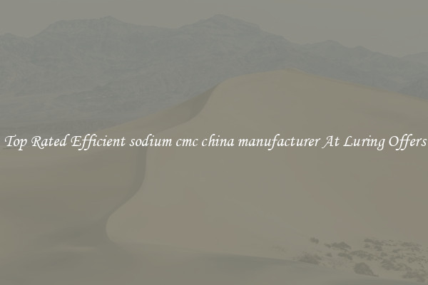 Top Rated Efficient sodium cmc china manufacturer At Luring Offers