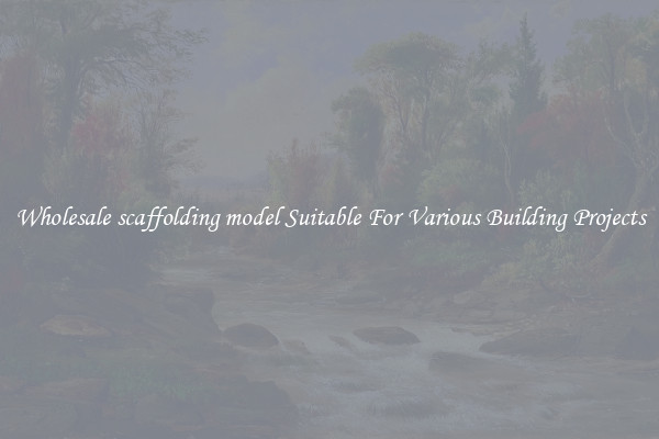 Wholesale scaffolding model Suitable For Various Building Projects