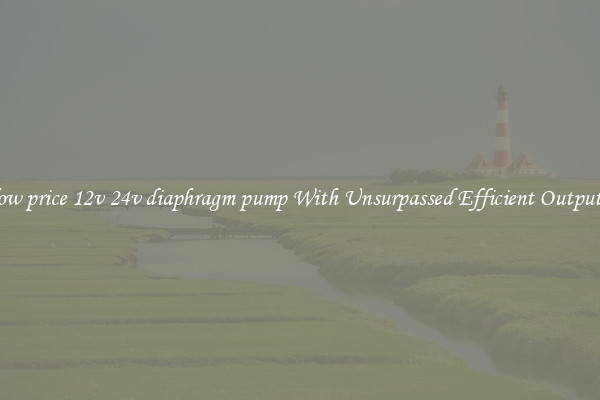 low price 12v 24v diaphragm pump With Unsurpassed Efficient Outputs