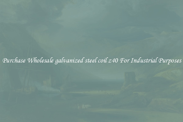 Purchase Wholesale galvanized steel coil z40 For Industrial Purposes