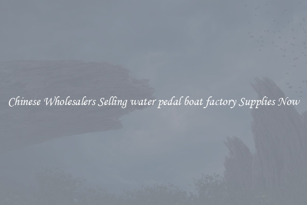 Chinese Wholesalers Selling water pedal boat factory Supplies Now