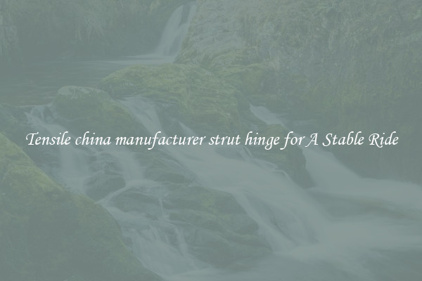 Tensile china manufacturer strut hinge for A Stable Ride