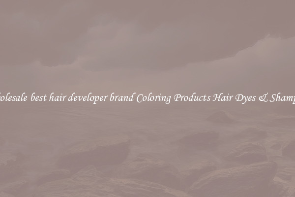 Wholesale best hair developer brand Coloring Products Hair Dyes & Shampoos