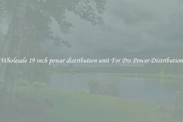 Wholesale 19 inch power distribution unit For Pro Power Distribution