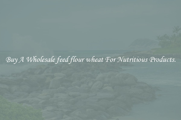 Buy A Wholesale feed flour wheat For Nutritious Products.