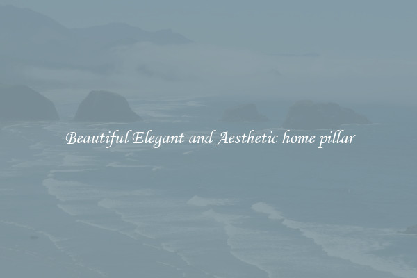 Beautiful Elegant and Aesthetic home pillar